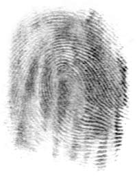 Fingerprint