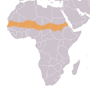 Map_sahel