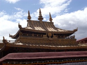 k9_Tibet_2