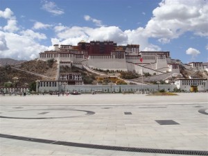 k9_Tibet_28