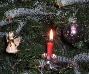 weihbaum4