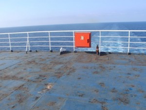 DIGITAL CAMERA