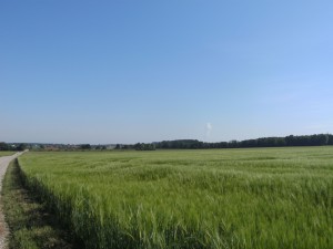 In der Ferne die Dampfsäule von Ohu