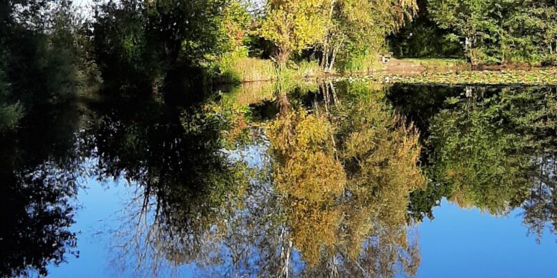 Engelstränen - oder die plötzliche Verdrängung der Weihnachtsengeln
