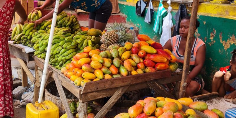 Mauritius, La Réunion, Madagaskar (III)