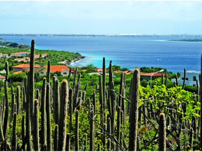Paradies oder Elend? Bonaire (Foto © Luc Bosma)
