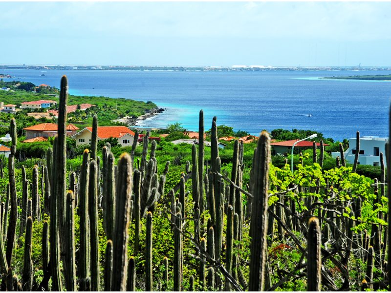 Paradies oder Elend? Bonaire (Foto © Luc Bosma)