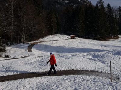 Roland-Schnee-Grainau-800x400