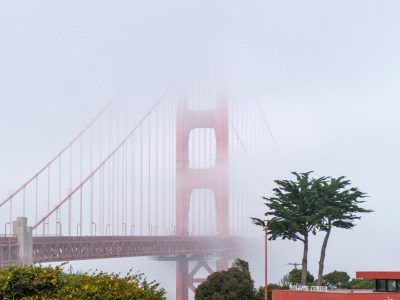 Thanks to Pexels -Naveen Ketterer